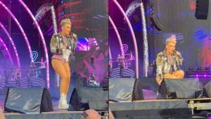 VIDEO inaudito: Fan arrojó las cenizas de su madre sobre la cantante Pink en pleno concierto