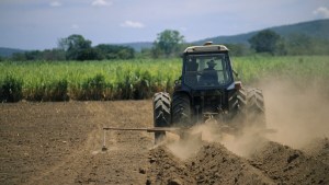 El “boicot” de la zanahoria: Los dos agricultores que estuvieron detenidos por protestar contra la escasez de gasolina