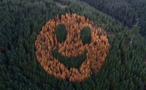 La increíble cara sonriente formada por árboles en un bosque de Oregón que aparece cada año