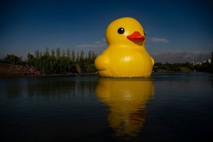 Navegaban en un pato inflable gigante y fueron arrastrados mar adentro