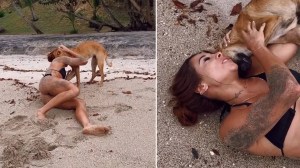 ¡Atrevida! Una perra casi deja sin ropa a una joven en la playa y el VIDEO explotó en TikTok