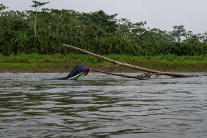 Meiker Montaño, el niño venezolano que cruzó el Darién en busca de un trasplante de corazón, llegó a EEUU