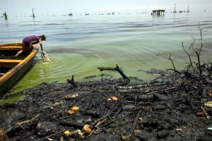 Después de años de contaminación y desastre: chavismo decide limpiar las playas del Lago de Maracaibo