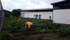 Alerta máxima en Guanare: más de 10 prisioneros se escaparon de prisión ante el descuido de autoridades