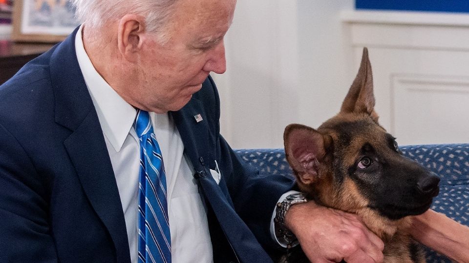 “Commander”, el perro de Joe Biden que es el azote de sus agentes secretos