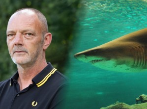 Hombre narró cómo sobrevivió a ataque de tiburón: “acepté morir, luego los delfines me salvaron”