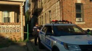 Dolor en Brooklyn: Niño de cuatro años falleció al caer desde la ventana de un edificio