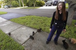 Barrio de Florida fue invadido por conejos domésticos y vecinos no saben qué hacer
