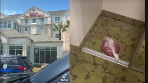 El VIDEO que no esperabas ver: Encontró un “feto abortado” en una habitación de hotel en Florida