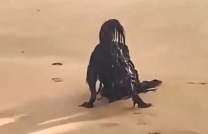Turista captó en VIDEO escalofriante figura en playa: se llevó el susto de la vida cuando se acercó