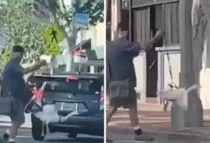 Hombre sacó a pasear su ganso y paró el tráfico… le puso hasta una correa (VIDEO)