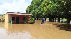 Productores agrícolas en Guárico quedaron sin cosechas y en riesgo por inundaciones