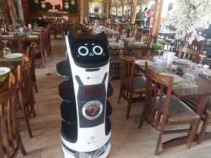 ¡Ya llegó! Venezuela tiene su primer robot mesonero