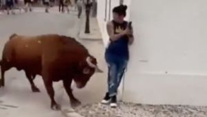 IMÁGENES fuertes: mujer distraída en su celular fue brutalmente embestida por un toro en España