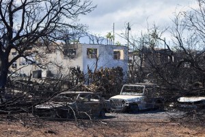 Devastación en Maui: niño de siete años murió quemado junto a su familia mientras escapaban de los incendios