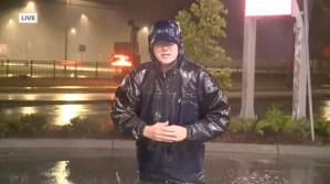 VIRAL: Reportero quedó a oscuras por apagón mientras transmitía en vivo los embates de Idalia en Florida (VIDEO)