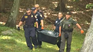 Ataque salvaje: Oso irrumpe en el patio de una casa en Nueva York y le provoca heridas a un niño de siete años