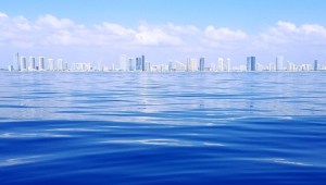 ¿Florida podría desaparecer si sigue aumentando el nivel del mar?