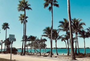 La ciudad de Florida más popular para mudarse en EEUU (no es Miami)