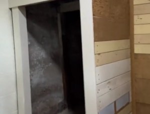 Como una película de terror: alquilaron una casa y en el sótano descubrieron algo que las dejó horrorizadas (VIDEO)