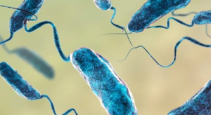 ¿Qué es la bacteria “come carne“ y cuáles son sus síntomas?