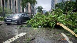 El tifón Saola llega debilitado pero amenazante al sur de China