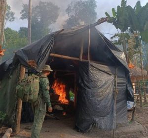 ONG exige “medidas inmediatas” para proteger los DDHH en el conflicto de la Amazonía venezolana