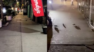 VIDEO: Paseaba por las calles de Nueva York y se llevó una aterradora sorpresa