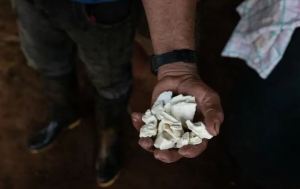Incautan 536 kilos de cocaína y detienen a dos venezolanos contrabandistas en Guyana