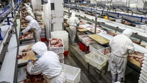 Empresas de procesamiento de carne usaban a niños migrantes para limpiar mataderos en Virginia