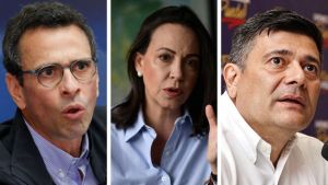 Manuel Texeira: Habría que aplicar una estrategia política para habilitar a Machado, Capriles y Superlano