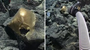 Increíble hallazgo en el mar: descubrieron un extraño “huevo dorado” en Alaska e investigan su origen