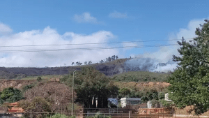 Violencia narco en Brasil: incineraron un cadáver y provocaron incendio en un parque (Videos)