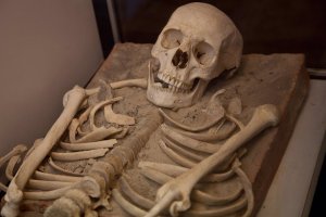 Extraen ADN de un esqueleto humano de hace 6 mil años en China
