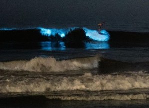 El raro fenómeno en playa de California que puso a las olas a brillar (VIDEO)