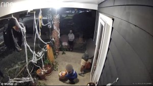 Impactante VIDEO: Adultos usan a niños para robar decoraciones de Halloween en Washington