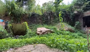 Consternación en La Guaira: hallaron el cadáver de una bebé en Maiquetía (VIDEO)