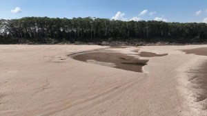 Brasil declaró en situación crítica al principal afluente del río Amazonas por la sequía