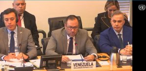 Chavismo aseguró ante la ONU que los inhabilitados “pueden participar en elecciones”