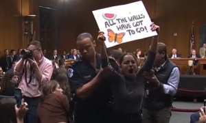 Interrumpen una audiencia en el Senado de EEUU al grito de: “Alto al fuego ya en Gaza” (Video)