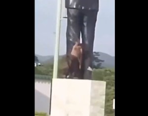 EN VIDEO: sujeto enloquecido atacó a machetazos la estatua del Dr. José Gregorio Hernández en Carabobo