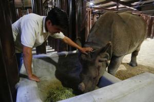 Dos rinocerontes indios encuentran hogar en un zoológico de México (Fotos)