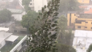 Fuerte aguacero con vientos huracanados generó nuevo colapso en Caracas este #20Oct (IMÁGENES)