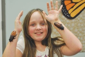 VIDEO: La obsesión de una adolescente de Oklahoma por coleccionar más de 4.000 cucarachas vivas en su casa