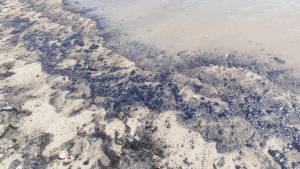 Nuevo derrame de petróleo en costas de Falcón afecta a pescadores y trabajadores de la zona