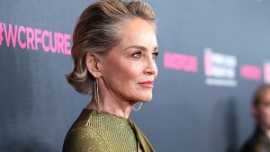 La dura confesión de Sharon Stone: dice que fue acosada sexualmente por un exdirector de Sony Pictures