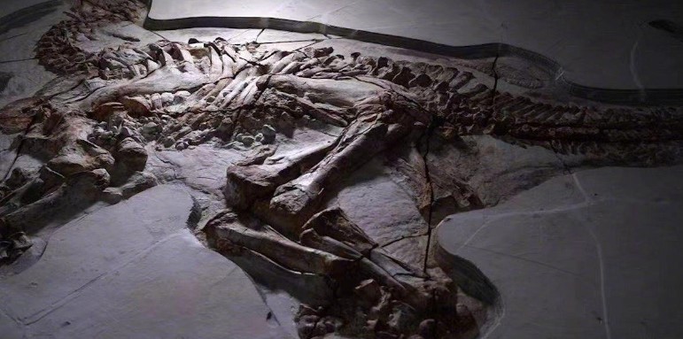 Descubren fósiles con marcas de piel de dos dinosaurios en el norte de China