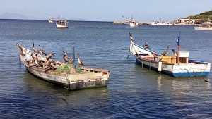 Gestionan recursos para reducir naufragios de embarcaciones en Nueva Esparta