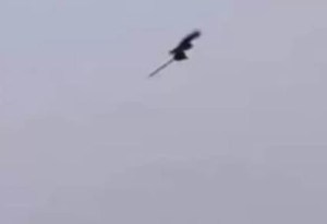 La atemorizante imagen de una supuesta bruja volando por los cielos: revelan de qué se trataba