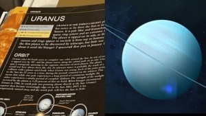 La insólita “perlita” sobre el planeta Urano en una revista científica